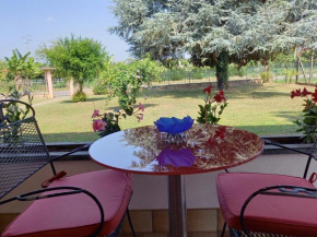 B & B Cedro Argentato Legnago